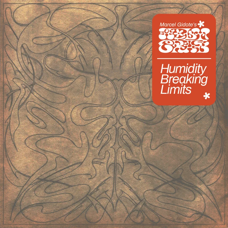 Humidity Breaking Limits LP view 3